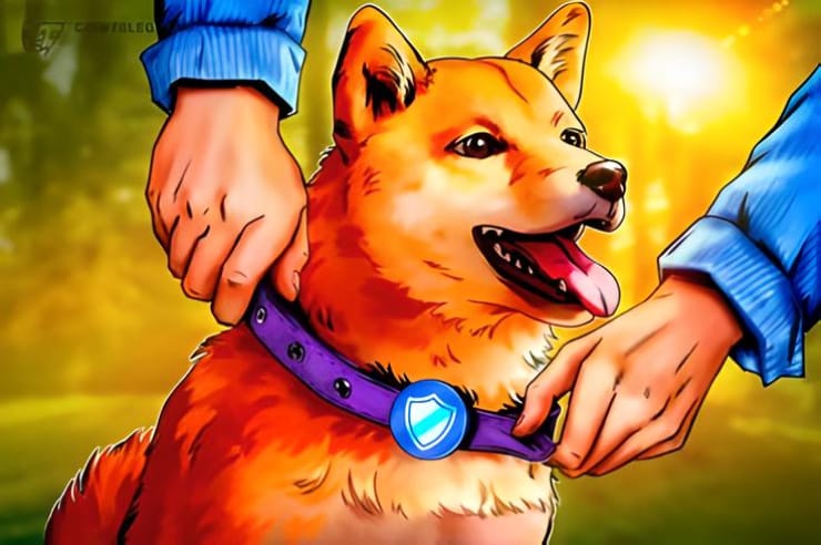 Cập nhật khả năng tái tạo Dogecoin Core sắp ra mắt