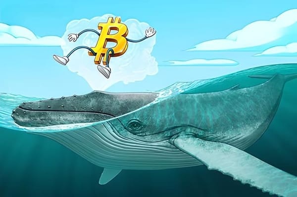 Các cá voi Bitcoin thực hiện đợt mua sắm trị giá 23 tỷ USD chưa từng có trong tháng 7 — Dữ liệu mới